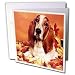 Dogs Basset Hound - Basset Hound - Greeting Cards-12 Greeting Cards with envelopes