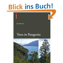 Trees in Patagonia