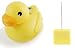 Toys : Radio Controlled Duck