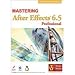 Mastering After Effects 6.5 Professional Step By Step Narrated Training