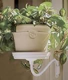 Plant Sconce