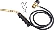 Bernzomatic Hose Multi-Application Torch BNZJTH7