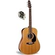 Seagull Coastline Cedar GT QI Guitar