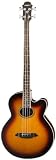 Aria FEB-STD Acoustic-Electric Bass - Brown Sunburst