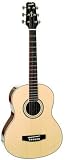 Wechter Elite Travel Guitar | Price And Model Comparison 31iW5qMjeGL. SL160 Wechter Elite Travel Guitar | Price And Model Comparison