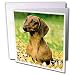 dachshund40 - Dogs Dachshund Smooth Dachshund Greeting Cards6 Greeting Cards