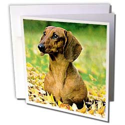 image link - - B000VG75WY
