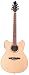Wechter Model 3120-3B Deluxe Pathmaker Guitar