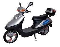 Electric Scooter 350 Watt