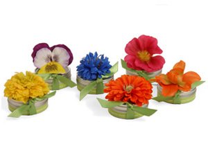 Bloembox Tiny Tins Edible Flowers
