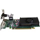 Jaton VIDEO-PX210-LX GeForce 210 Graphic Card - 512 MB DDR2 SDRAM - PCI Express 2.0 x16