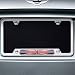 Mini Cooper 82120306810 Polished License Plate Frame