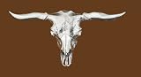 Steer Head Belt Buckle