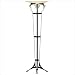 Lucilla Floor Lamp Finish: Antique Gold