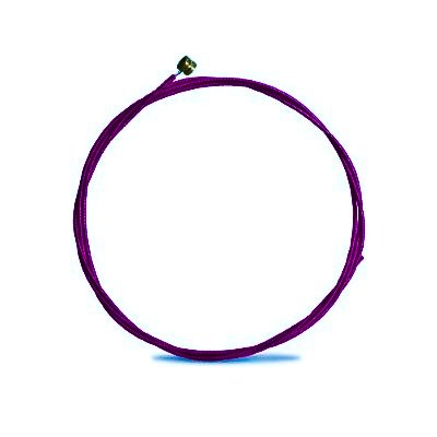 Aurora Acoustic Strings