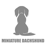 DOG シルエット ステッカー 後姿 ミニチュアダックス DS-6B シルバー ダックス