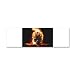 42 x 14 Wall Vinyl Sticker Flaming Skull