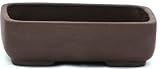 BuyBonsai's Bonsai Pot 8.0 Fine Rectangle Unglazed