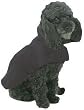 Taylor Coat Black - Large