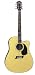 Michael Kelly Nostalgia 10 CE N10CE Acoustic Electric Guitar