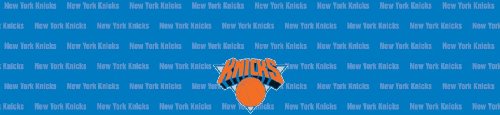 New York Knicks Team Auto Visor Decal