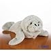Webkinz Ganz Large Manatee August 2008 Brand New Release Hm-229