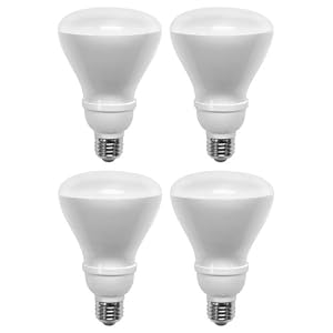 TCP DuraBright 6R3014B4 14W R30 Compact Fluorescent Light Bulb, 4-Pack, Soft White by DuraBright
