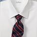 Trim Fit Pinpoint Oxford Windsor Spread Collar French Cuff Dress Shirt