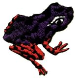 2 Black, Orange & Blue Rain Forest Frog Animal Patch