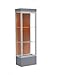 Edge Series Floor Display Case Frame Color: Satin, Base Color: Carbon Mesh, Case Backing: Terra Cotta