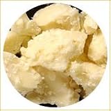 �y�����̖؁z�R�R�A�o�^�[ 100g
