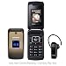 Samsung M310 Unlocked Phone with Quad-Band GSM, and Bluetooth Headset--International Version with Warranty (Mocha Brown)
