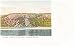 Indian Head Palisades Hudson River New York Postcard