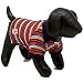 Dickens' Closet Not So Nautical Multi-Striped Polo, Small