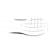 Nike Men's Roshe LD-1000 QS Casual Shoe