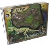 Tyrannosaurus T Rex Dinosaur Skeletion Model Large Size