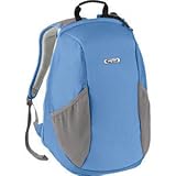 JanSport Audio iPod Backpack - 1500 cu in
