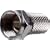 10 x F-Connectors