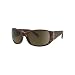 ANGEL Tortoise CAPTIVATE Sunglasses with Brown Lenses