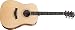 Taylor DN4-L Ovangkol/Sitka Dreadnought Acoustic Guitar  6-String, Lefty