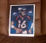 Denver Broncos Jake Plummer Montage