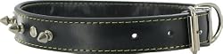 Kakadu Pet Spike Leather Studded Dog Collar, 1" x 21 1/2", Black