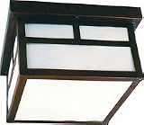 Flushmount Outdoor Ceiling Light Fixture