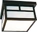 Flushmount Outdoor Ceiling Light Fixture