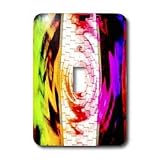 31icxb5n7HL.SL160JosFauxtographeeAbstractComputorKeyboardTwirledandcoloredinNeonGreen,Pink,Red,YellowandPurpleLightSwitchCoverssingletoggleswitch