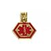 Medical ID Information Charm 14k Gold 13mm
