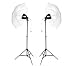 500 Watts Continuous Light Kit with Umbrellas