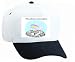 White Cap with fish, aquarium