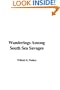 Wanderings Among South Sea Savages