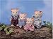 Calico Critters Norwood Mouse Family